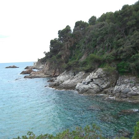 Apartamentos Famara Lloret de Mar Bagian luar foto