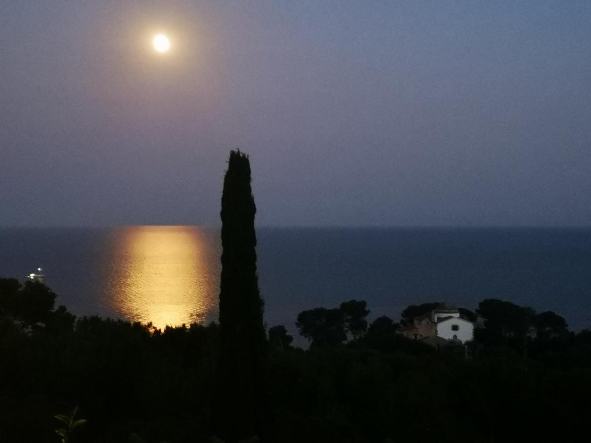 Apartamentos Famara Lloret de Mar Bagian luar foto