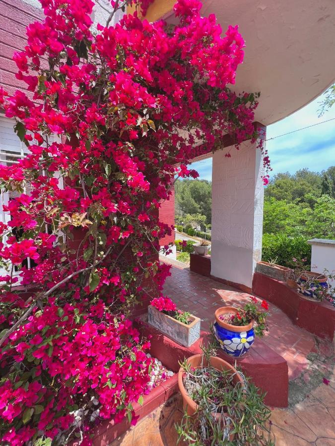 Apartamentos Famara Lloret de Mar Bagian luar foto